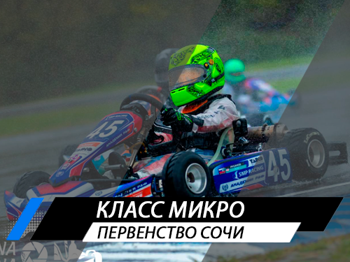 Класс Микро
