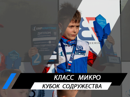 Класс Микро